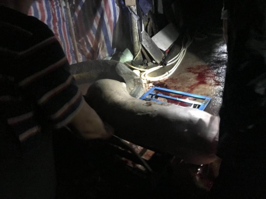 色窝窝无码一区二区三区色欲:07-13-15-17-32-43F:45,探索色窝窝的无码区域,深度解析色欲与数字密码