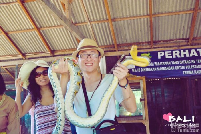 婷婷久久香蕉五月综合加勒比:05-23-26-28-36-41L:07,婷婷的加勒比之旅,五月香蕉情缘