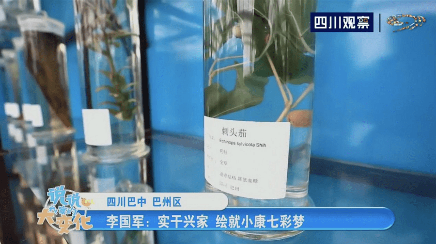 无码喷水一区二区浪潮AV:14-19-21-35-40-43R:45,关于无码喷水一区二区浪潮AV的探讨