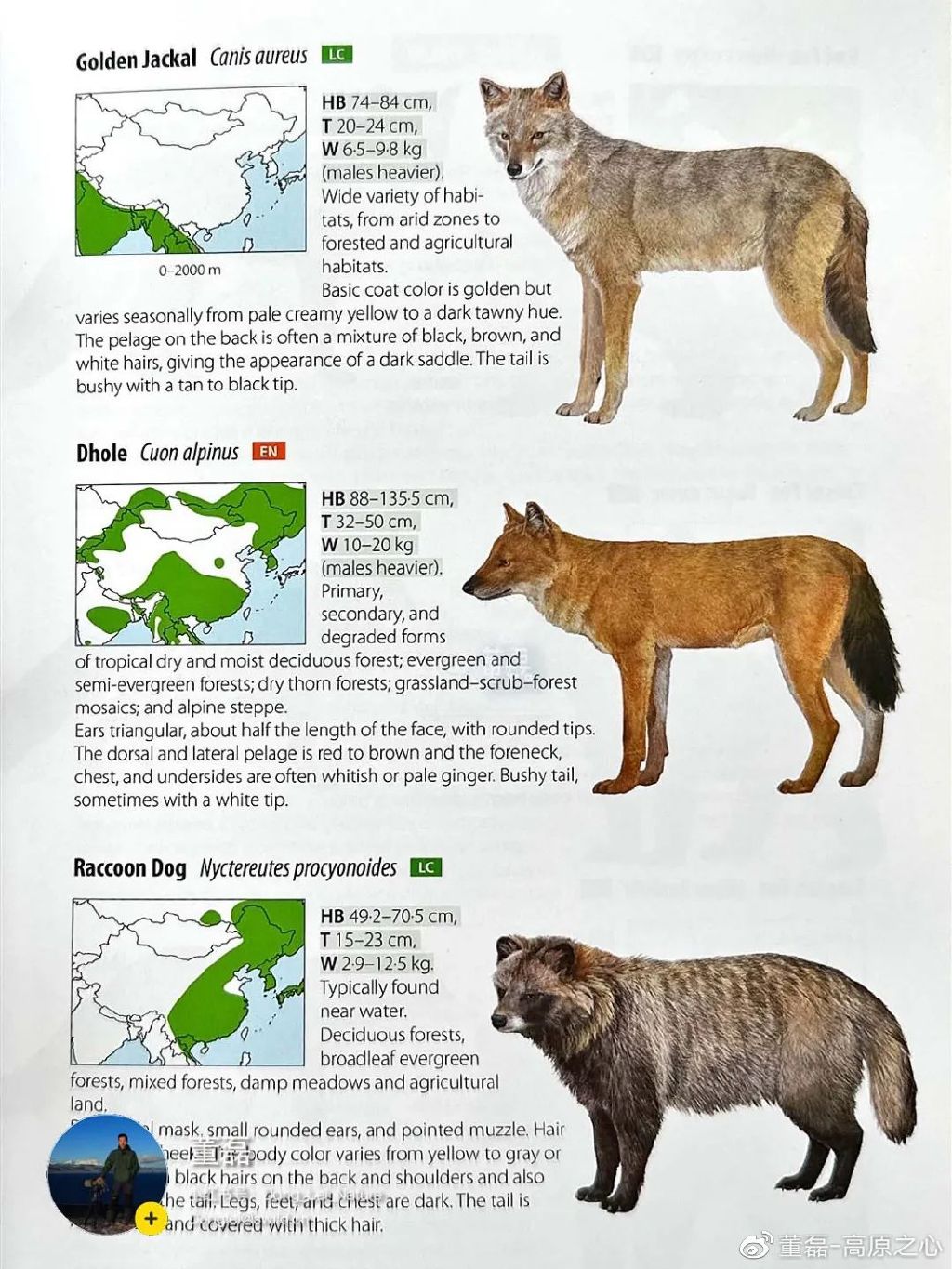 亚洲精品二区国产综合野狼:04-07-22-27-42-45L:05,亚洲精品二区国产综合野狼,探索独特魅力与深度内涵的旅程(04-07-22-27-42-45L)与深度解析(05)