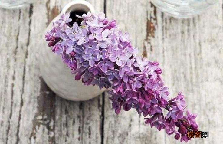 丁香五月网久久综合:13-30-33-40-46-49L:45,丁香五月网,久久综合的魅力与独特体验