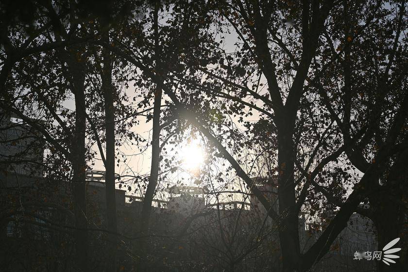 真实乱子伦露脸自拍:02-22-36-37-42-49E：32,真实乱子伦露脸自拍背后的故事