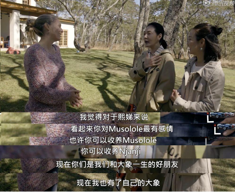 国产成人亚洲高清一区:03-13-24-32-34-44Q:48,关于国产成人亚洲高清一区的研究与探索,一场视觉盛宴的多元解读