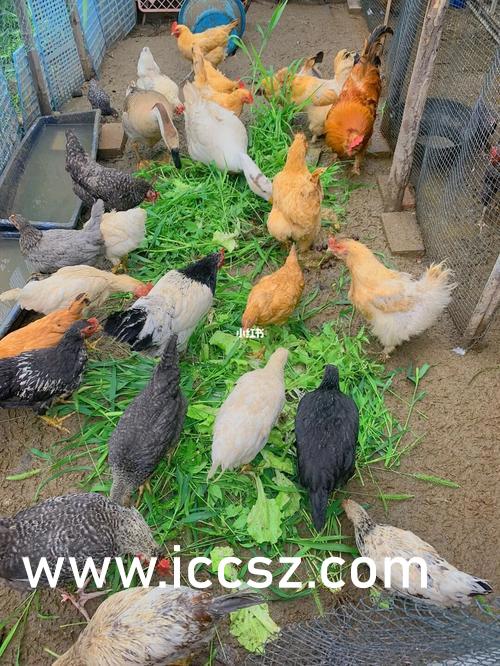 欧美精品日韩精品一卡:02-12-18-38-41-49H:23,欧美日韩精品文化卡,探索数字时代的文化交融与多元魅力