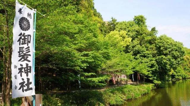 日本最新免费二区三区:02-14-19-34-37-43Q:44,探索日本最新免费二区三区,数字背后的娱乐新风尚