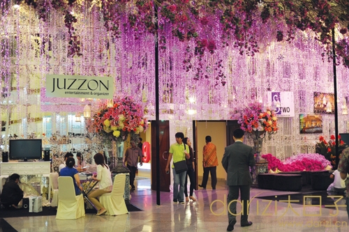 亚洲丁香五月激情综合:08-11-18-20-30-33X：03,亚洲丁香五月激情的综合绽放，一场时间与空间的绚烂交响曲