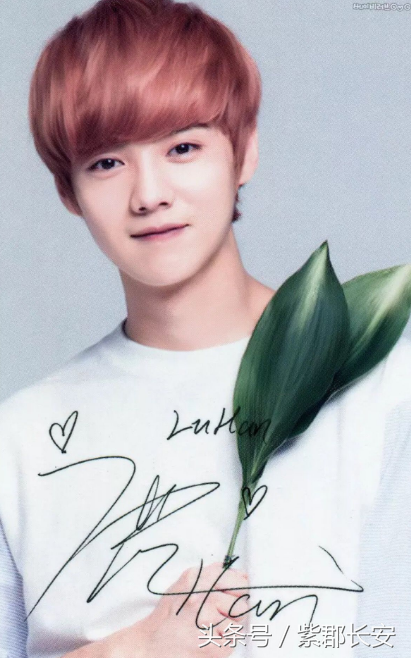 青青青国产在线观看资源:10-19-22-27-28-40R:36,青青青国产在线观看资源,探索优质影视内容的无限可能