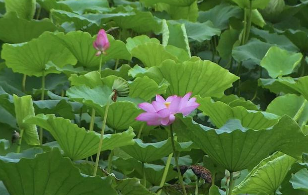 同心同德 第4页