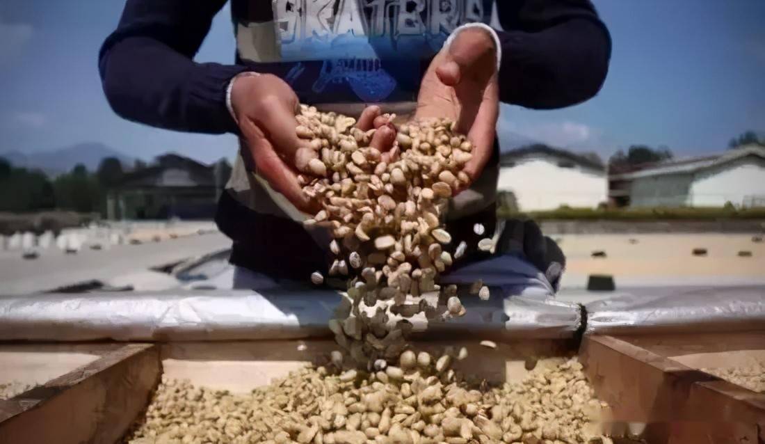 爽到憋不住潮喷大喷水视频:03-14-19-34-39-46J:33,探索新潮视频体验,爽到憋不住的潮喷大喷水视频世界