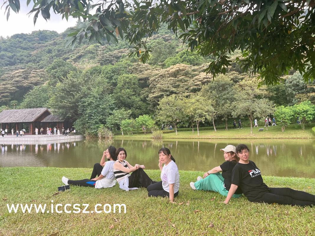 伊人大香线蕉精品在线播放:03-09-20-29-31-37R：45,伊人大香线蕉精品在线播放，探索与赏析