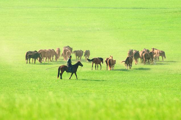青青草原综合久久大伊人精品:10-19-22-27-28-40R:36,青青草原的综合魅力,探索大伊人精品的独特韵味
