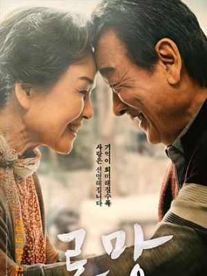 韩国免费A级作爱片免费观看中国:05-16-26-32-45-47T:06,关于韩国免费A级影片与中国观众之间的文化交流探讨