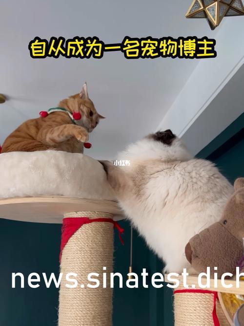 巨爆乳中文字幕巨爆区巨爆乳无码:03-05-13-18-31-33K:25,巨爆乳的魅力,中文字幕下的巨爆区探索