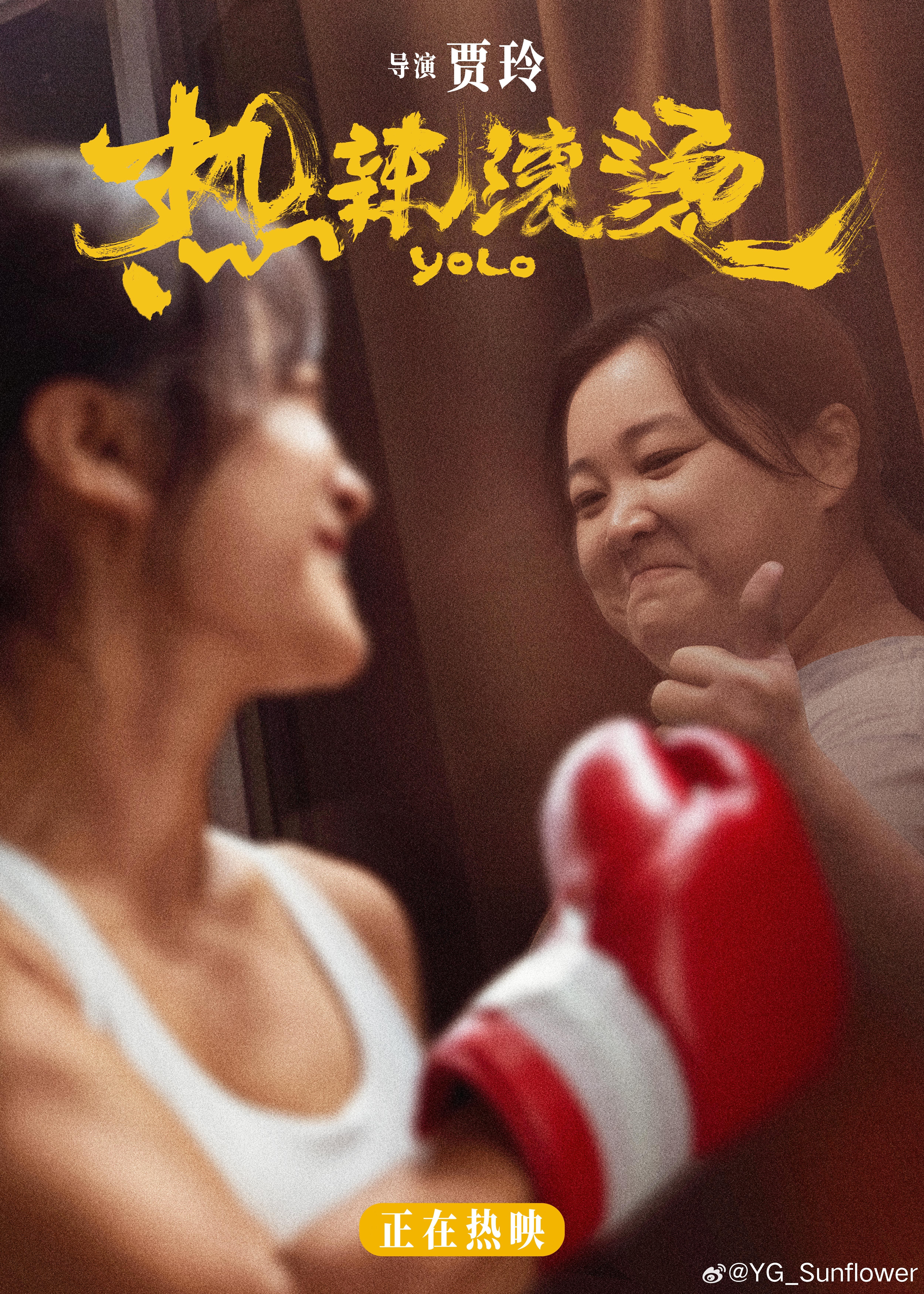 中文字幕天天躁日日躁狠狠躁免费:24-25-26-46-47-48Q:14,中文字幕下的视听盛宴,免费影视资源的探索与挑战