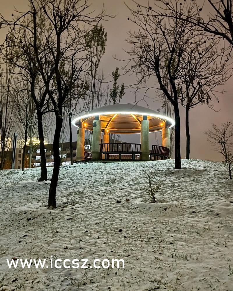 人妻丰满AV中文久久不卡:01-03-08-16-26-43A：19,探索人妻丰满影像，深度解析与合理欣赏