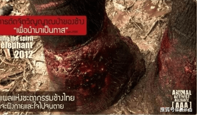 综合伊人久久在:02-04-25-42-47-49X:35,综合伊人久久在,一个数字背后的故事与探索