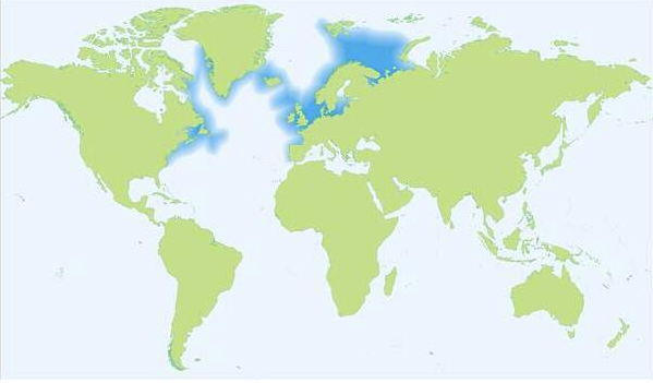 亚洲欧美一区二区三区在线:03-16-22-24-25-29Y:40,亚洲欧美在线区域的发展差异与融合趋势,一区、二区、三区深度解析(关键词,03-16-22-24-25-29Y)