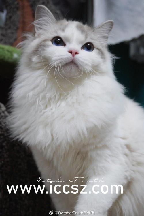 国产精品白丝喷水jk娇喘视频:21-35-36-45-46-47T:21,关于国产精品白丝喷水jk娇喘视频的探讨