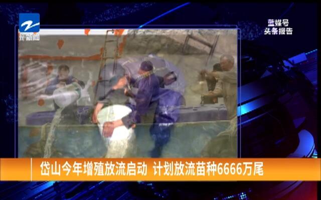 国内精品国产三级国产av:06-16-18-23-32-37T:20,探索国内精品国产影视文化,聚焦三级国产AV的发展与变迁