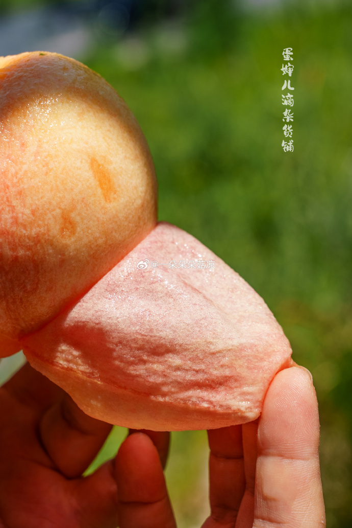 国内精品久久久久久99蜜桃:06-15-17-24-28-41G:32,国内精品文化深度探索,久久蜜桃的独特魅力与内涵发展