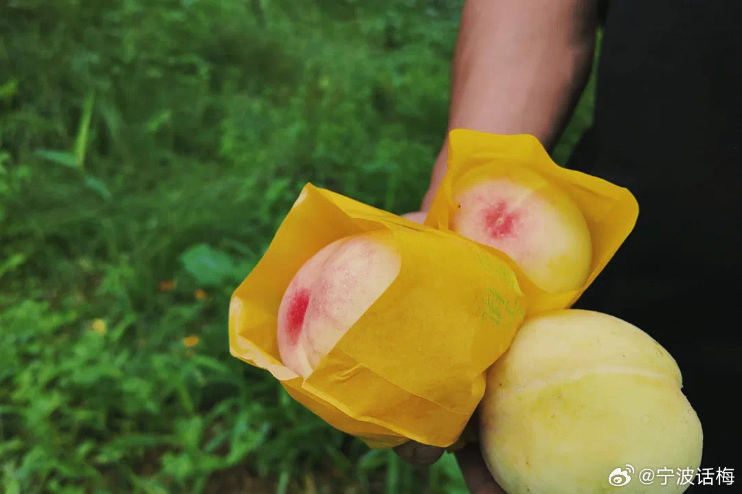 国内精品久久久久久99蜜桃:06-15-17-24-28-41G:32,国内精品文化深度探索,久久蜜桃的独特魅力与内涵发展