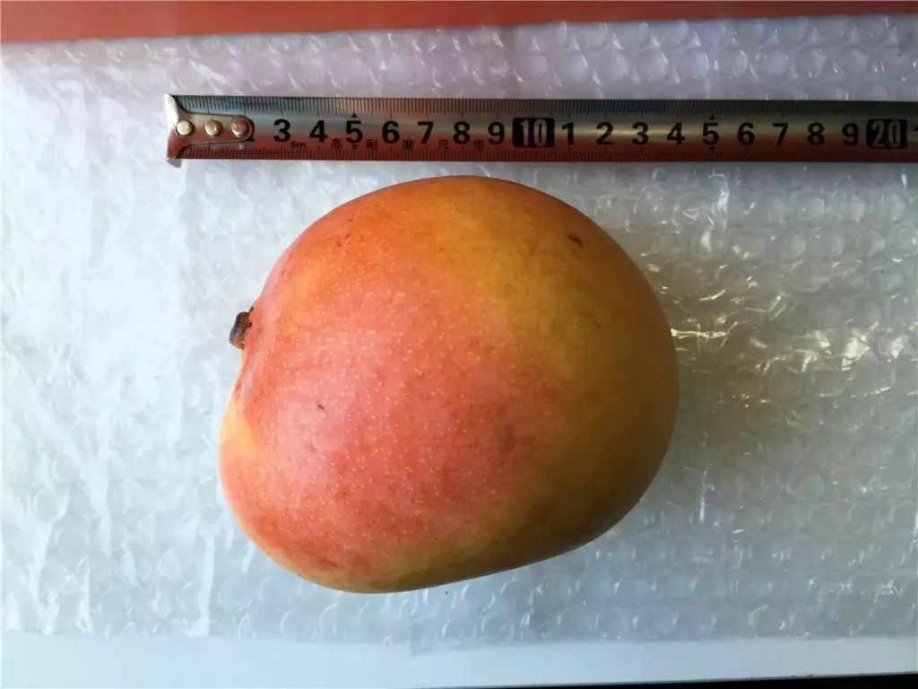 国内精品自线2021芒果:02-07-26-29-40-45Y:24,国内精品自线2021芒果,探索优质内容的无限可能