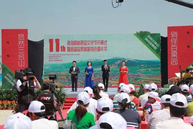 麻豆一二三区AV传媒:14-23-27-34-35-41E:49,麻豆一二三区AV传媒的独特魅力与深度探索