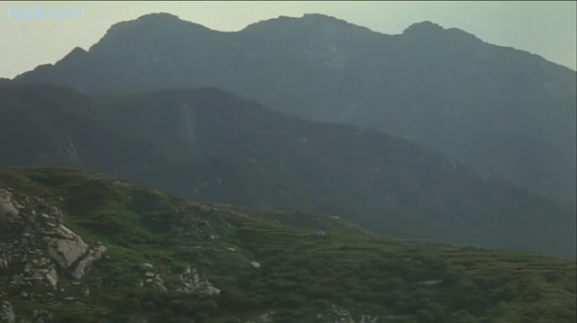 亚洲人成电影网站色:34-35-38-40-42-43Y:13,亚洲人在电影网站中的多元呈现,探索数字背后的故事