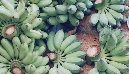 亚洲一区二区三区香蕉:10-11-23-26-31-45X:07,亚洲一区二区三区香蕉,探索与解析