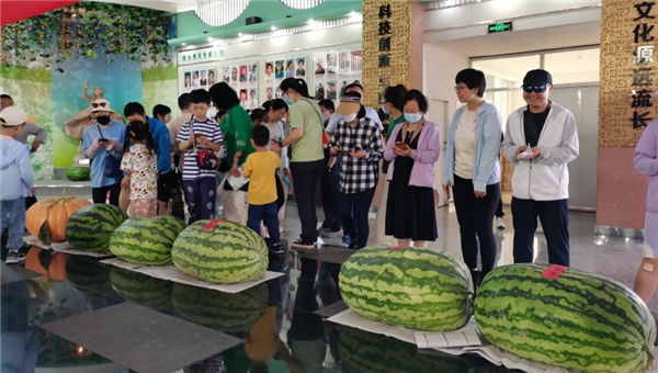 奇米影视777四色狠狠:09-11-20-26-27-43N：01,奇米影视777四色体验，探索影视娱乐的新境界