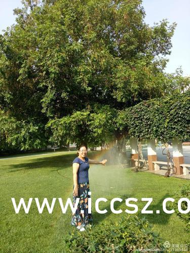 售前咨询 第179页