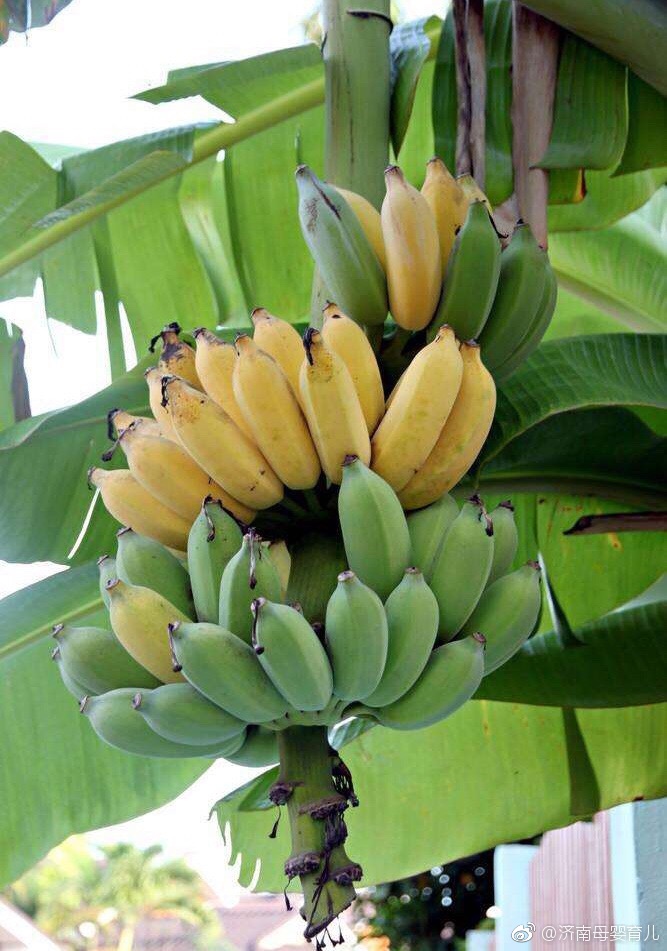 伊人久久大香线蕉亚洲五月天:03-16-18-36-37-40L:37,伊人久久,大香线蕉与亚洲五月天的奇妙缘分