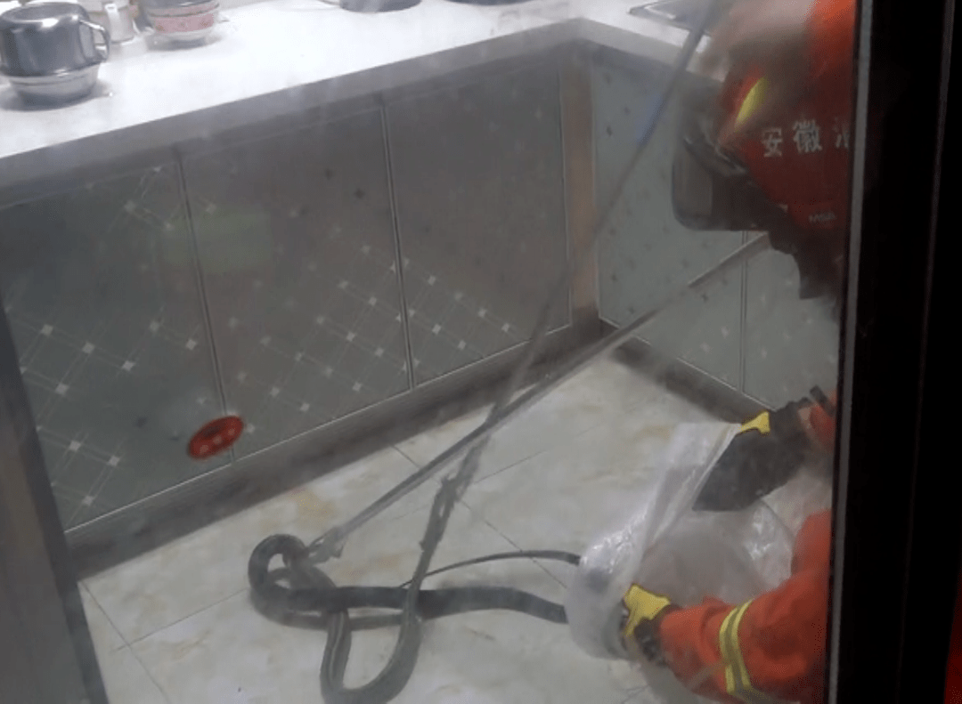 国产成A人亚洲精V品无码:01-06-27-41-42-48Z:04,国产成A人亚洲精V品无码,探索与赏析