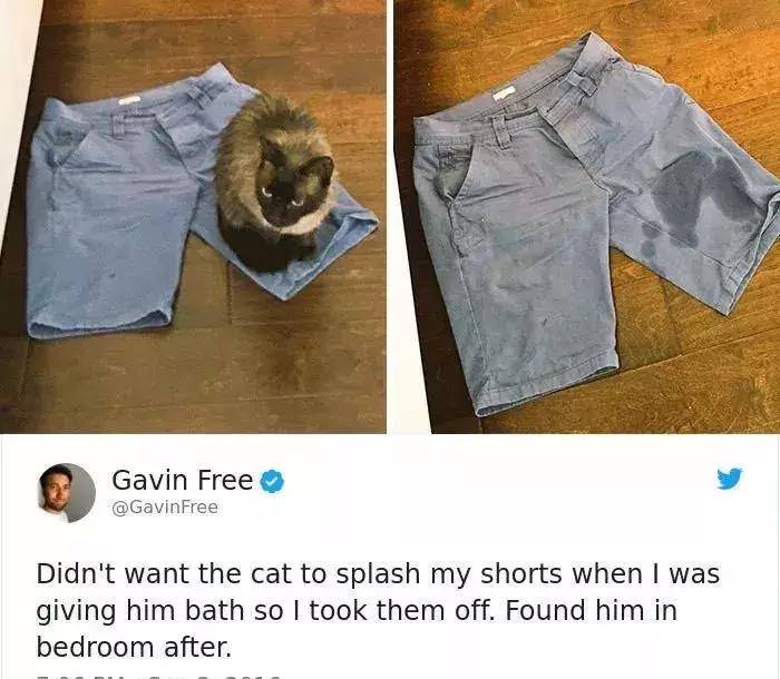 国产又爽又黄又无遮挡的激情视频:03-10-19-25-29-49P:38,探索国产激情视频的魅力,一场无遮挡的情感盛宴