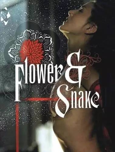 免费a级毛片:01-08-10-23-44-49B:14,免费A级毛片,探索数字背后的娱乐世界