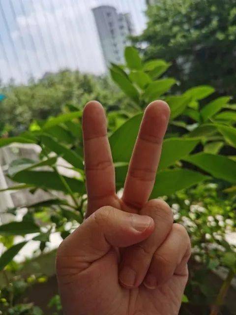 亚洲精品成A人在线观看:10-15-19-25-36-49Z:07,探索亚洲精品影视,在线观看的魅力与多元性