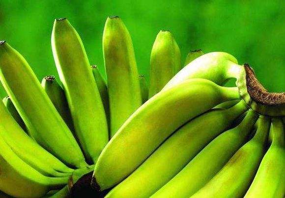 久久婷婷五月综合色国产香蕉:03-04-08-09-13-35M:39,久久婷婷与五月综合色国产香蕉,探索独特魅力的奇幻之旅