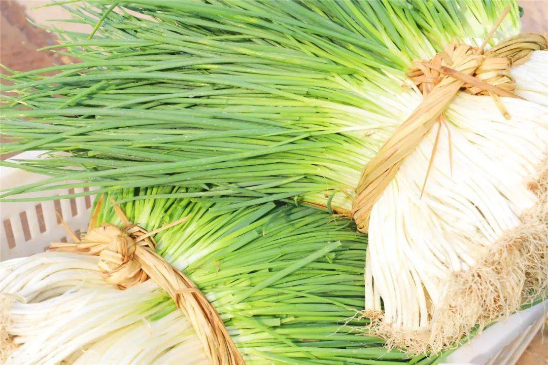 欧美大香线蕉线伊人久久:09-11-27-29-39-42H:39,欧美大香线蕉线伊人久久,探索神秘数字背后的故事