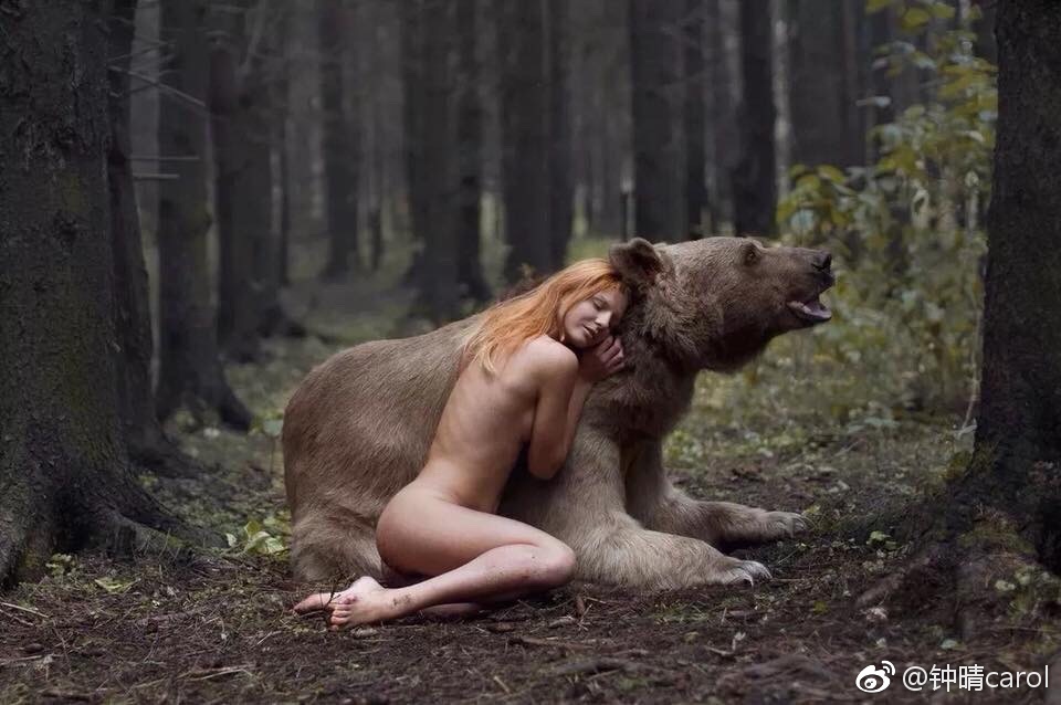 欧美人与动牲猛交A欧美精品:02-08-31-36-40-47A:17,欧美人与动物,探索人与自然的和谐共存之道