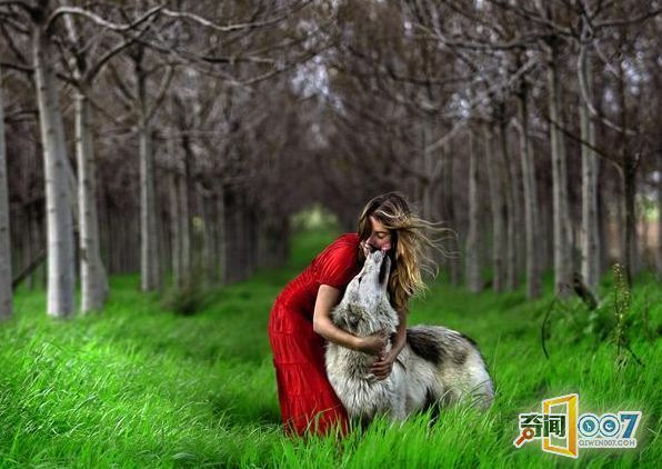 欧美人与动牲猛交A欧美精品:02-08-31-36-40-47A:17,欧美人与动物,探索人与自然的和谐共存之道