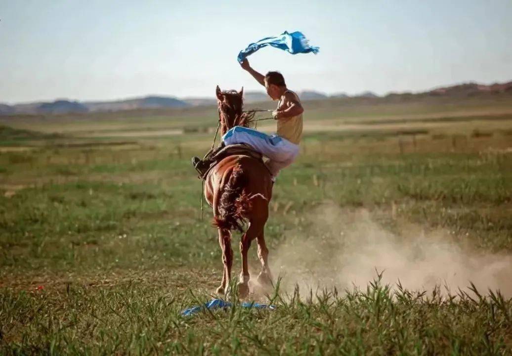 青青草国产免费国产是公开:02-05-08-12-24-36K:32,青青草国产免费国产的魅力与公开共享的价值,探索数字时代的文化共享新境界