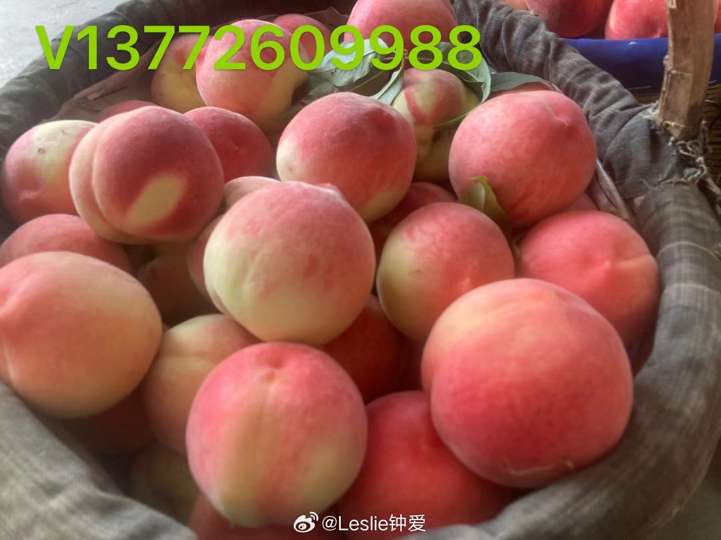久久精品久久久久观看99水蜜桃:16-19-31-38-46-48Q:16,久久精品,探索久久久观看的魅力与独特之处,品味水蜜桃般的甜蜜时光