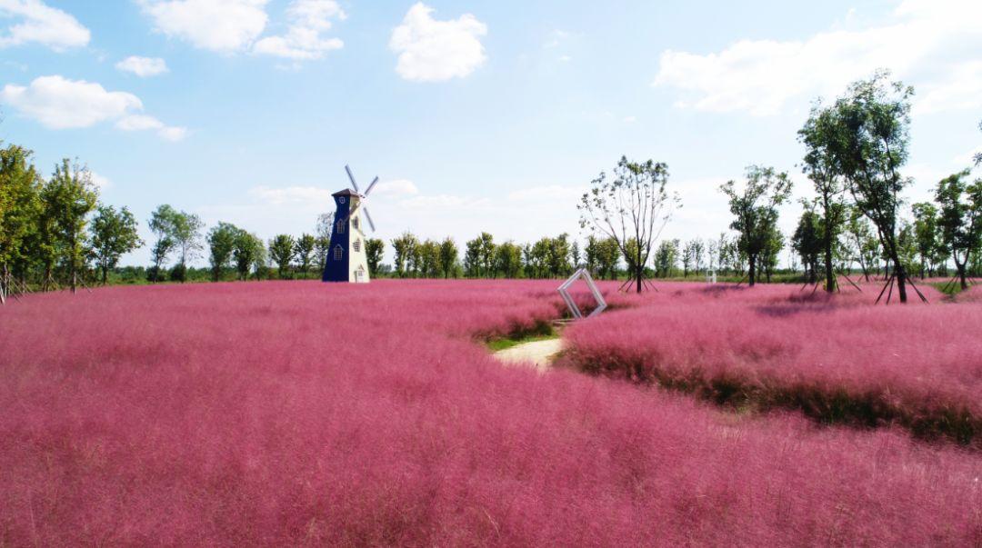 野外亲子乱子伦视频丶:01-16-32-34-36-45K:27,野外亲子活动的探索与挑战,亲子乱子伦视频现象的反思(关键词解读)