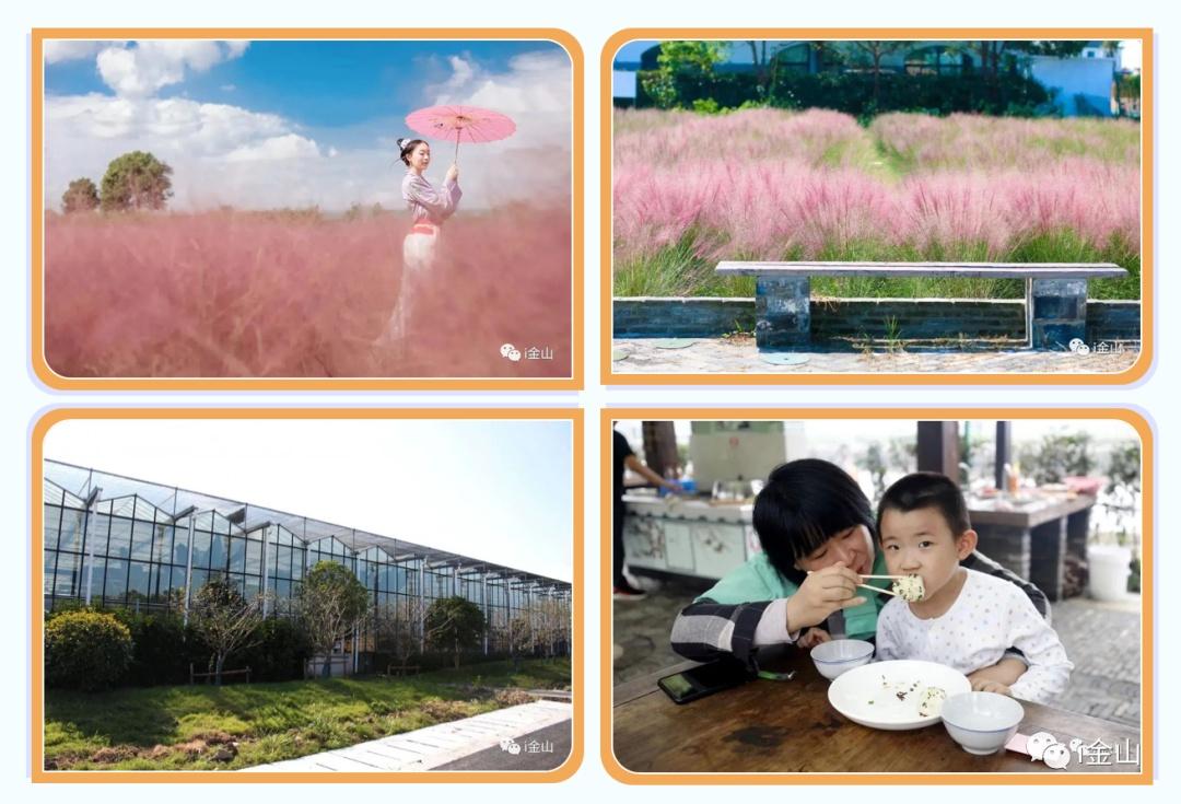 野外亲子乱子伦视频丶:01-16-32-34-36-45K:27,野外亲子活动的探索与挑战,亲子乱子伦视频现象的反思(关键词解读)