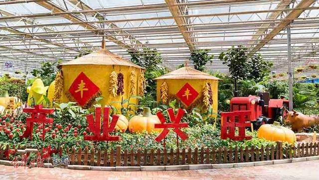 日本不卡一区:08-11-29-38-42-46V:26,探索日本不卡一区,深入了解其独特魅力与文化特色