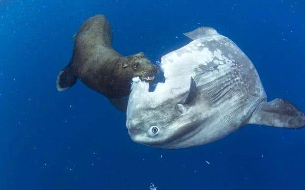 人人做人人爽人人爱:02-24-37-40-45-49T:41,人人做人人爽人人爱,探索一种全新的生活理念与和谐社会的构建