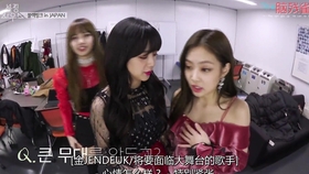 亚洲日本va中文字幕久久:05-16-19-21-23-40M:33,亚洲日本VA中文字幕的魅力时光,从文化深度探索字幕的魅力与重要性