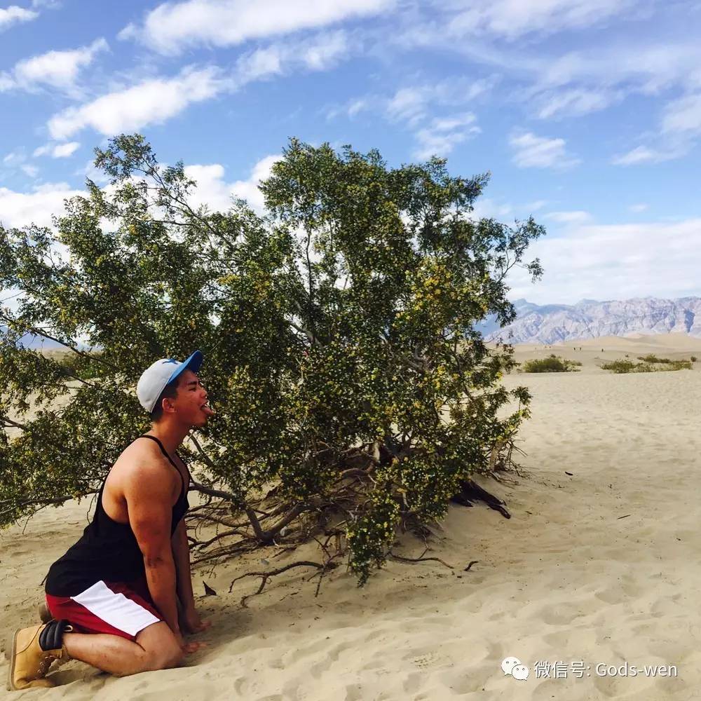 亚洲精品GV天堂无码男同:02-07-08-29-37-40A:44,探索亚洲精品GV天堂——无码男同的独特魅力与成长故事(02-07-08等日期背后的故事)