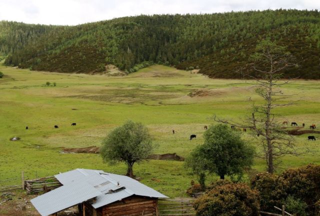 久久综合色天天久久综合图片:01-24-32-38-42-46Z:29,久久综合色天天久久综合图片,探索多彩世界的魅力