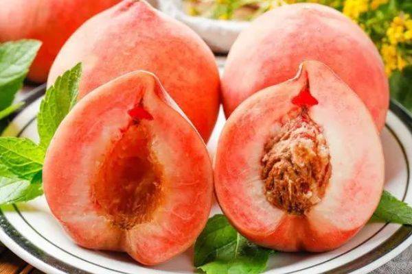 精品无码一区二区三区水蜜桃:04-05-19-26-27-38L:13,探索精品无码水蜜桃的世界,一区、二区、三区之独特魅力